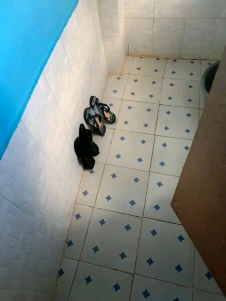 bedsitter for rent - Town area✅